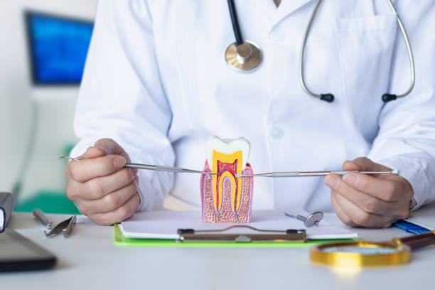 Best Emergency Denture Repair in Rockton, IL